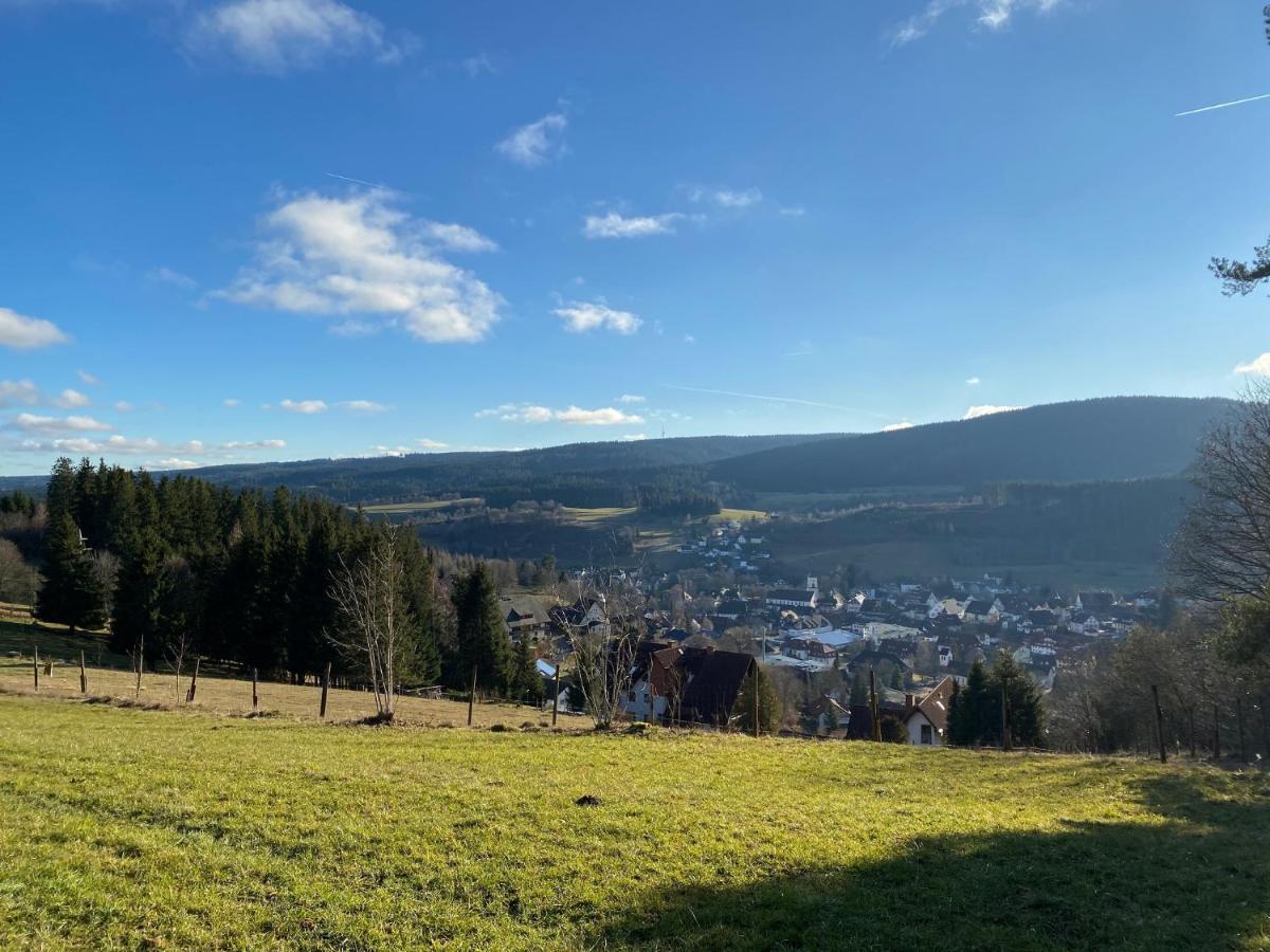 Апартаменты Auszeit Im Schwarzwald Ленцкирх Экстерьер фото
